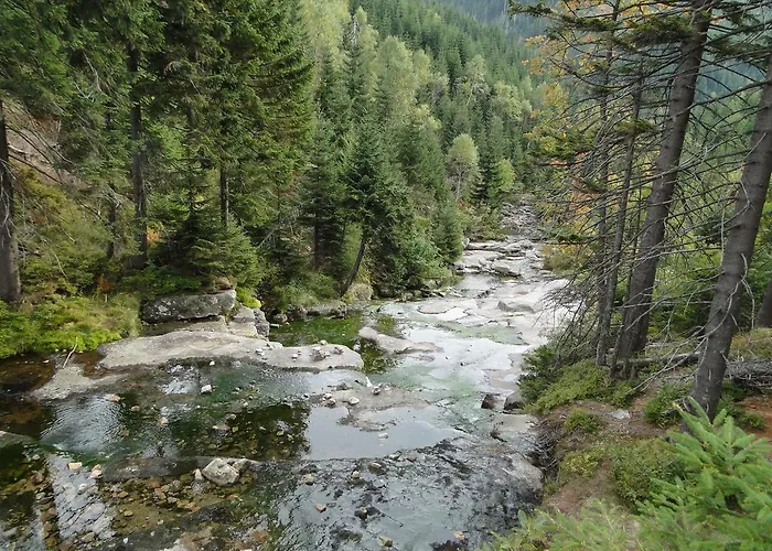 Apartman 315 아파트 *