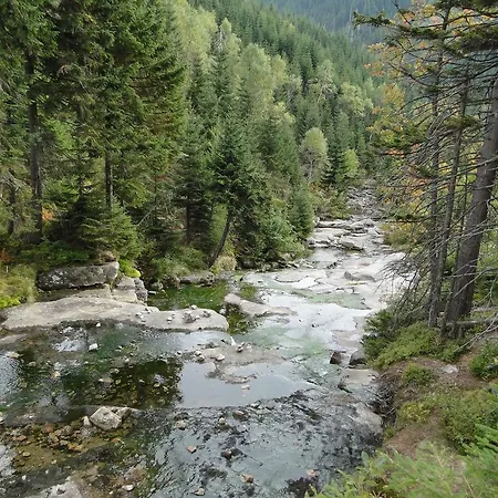 Apartman 315 Apartment *