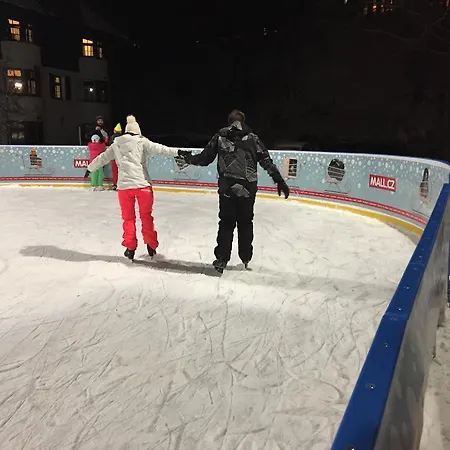 Apartment Apartman 315