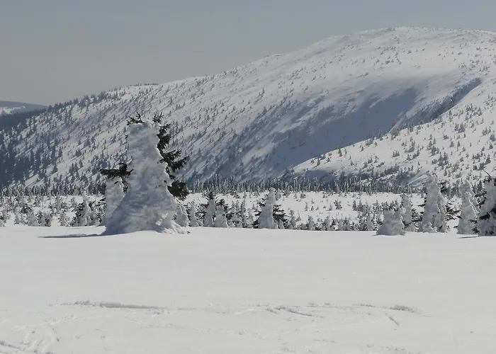 Apartment Apartman 315 Špindlerŭv Mlýn